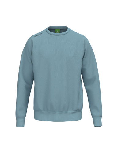 TS Sweatshirt 60% cotton