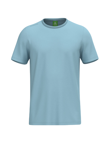 TS T-Shirt 100% cotton (organic)